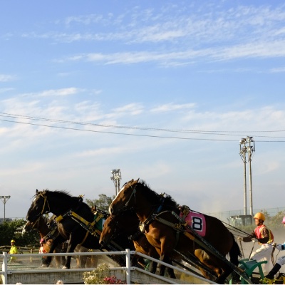 ばんえい競馬/馬文化